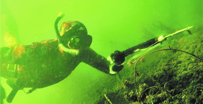 Фото подводной охоты