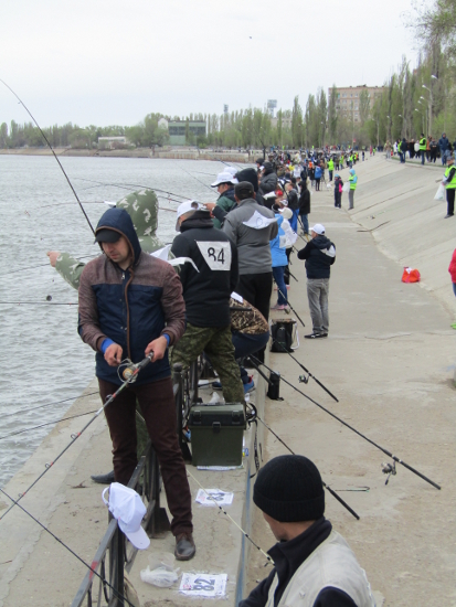 рыболовные соревнования