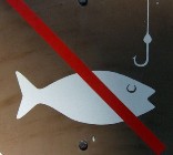 Запрет на ловлю рыбы