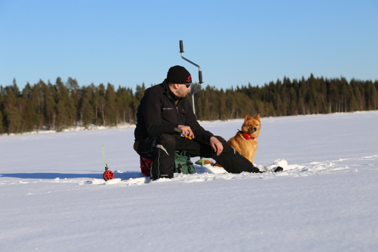 Собака на зимней рыбалке. 