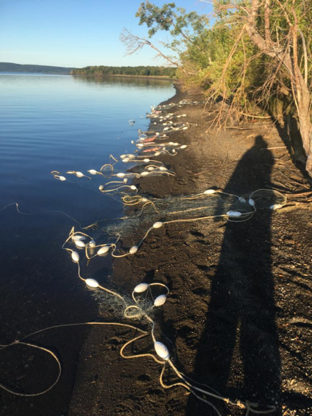 Два браконьера-рецидивиста наловили на Камчатке лосося на миллион рублей