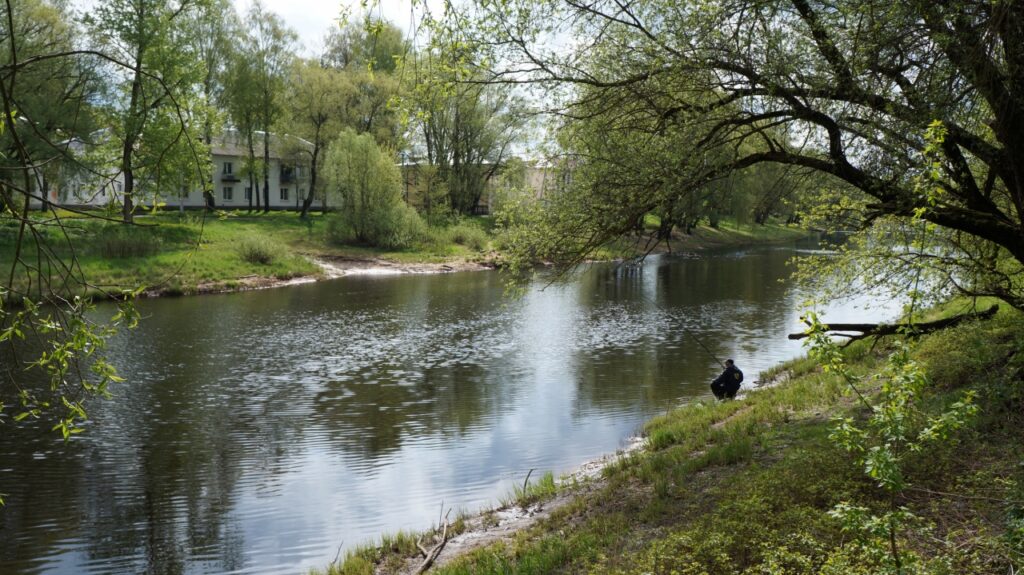 Озеро Подгорное – лучшее место для рыбалки в Ленинградской области