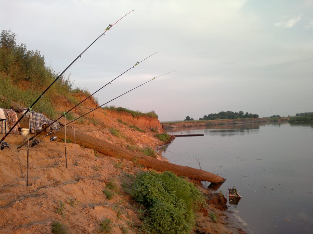 Рыбалка в Калужской области-2024. Нерестовый запрет, суточная норма вылова и разрешенный размер рыбы, перечень зимовальных ям и нерестовых участков