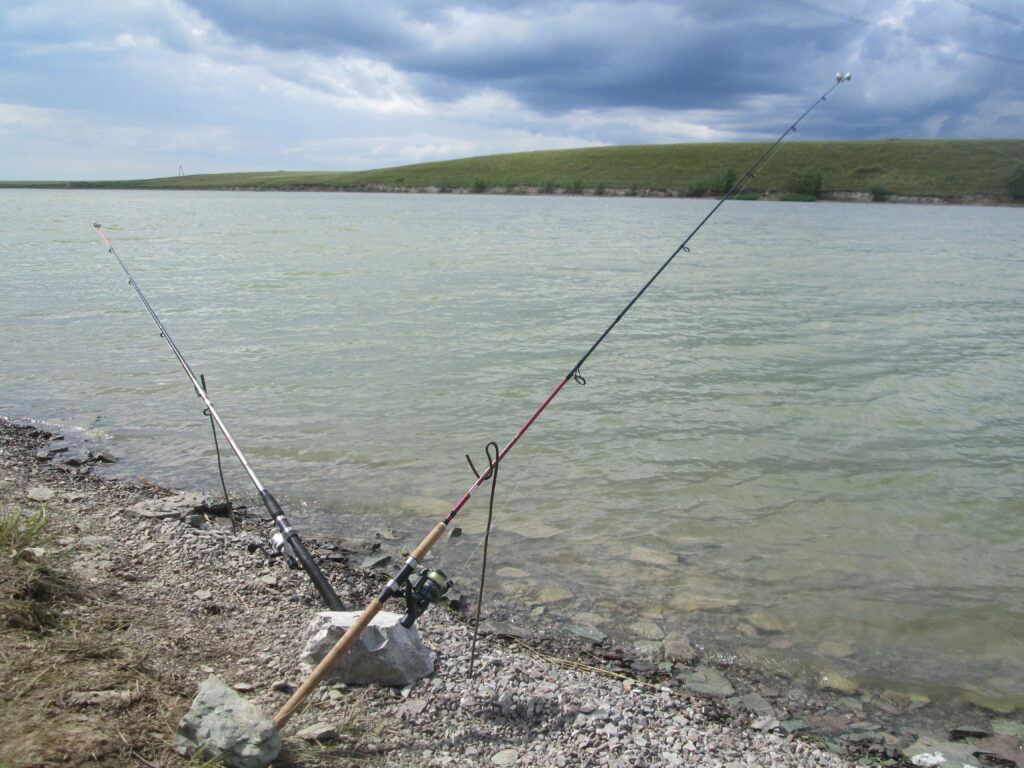 Рыбалка в Республике Тыва-2022. Нерестовый запрет, суточная норма вылова и разрешенный размер рыбы