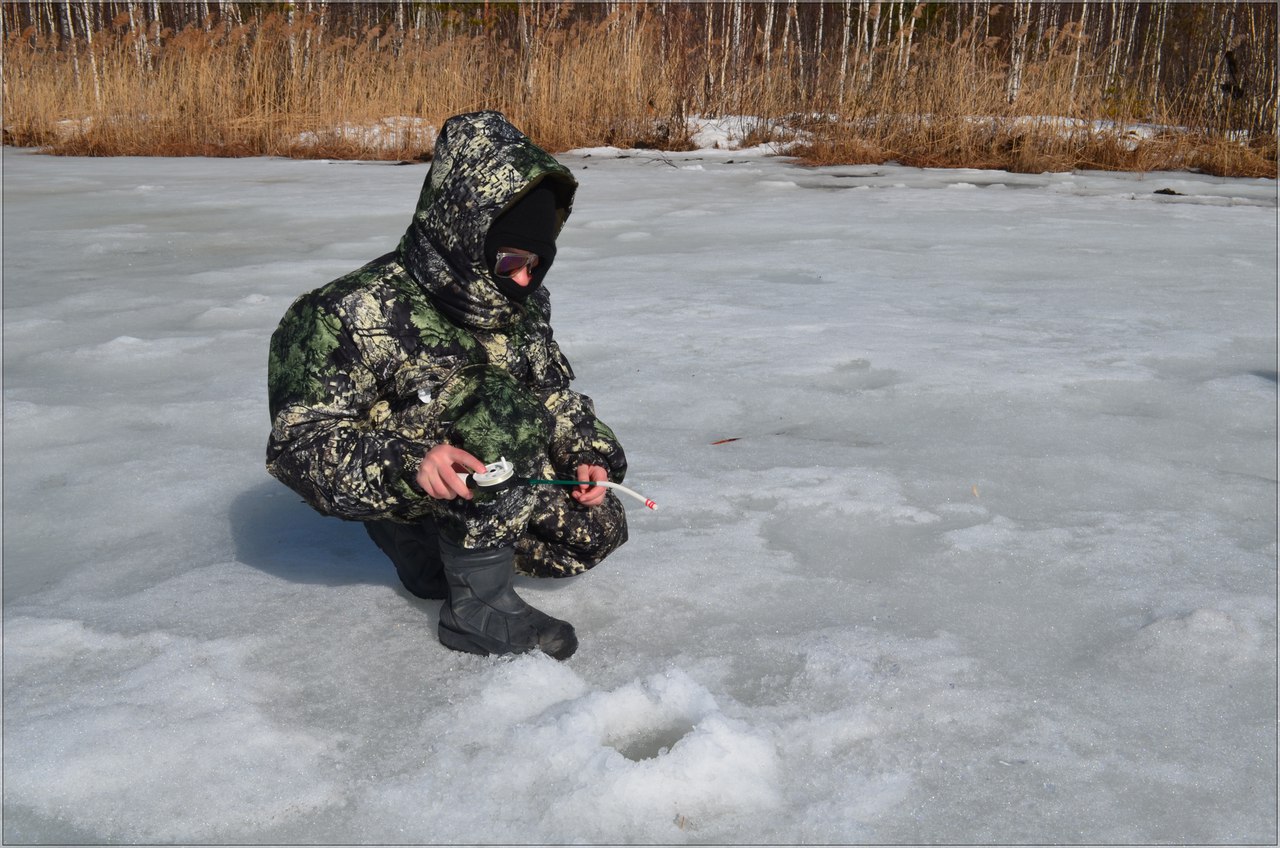 Запрет на ловлю в 2024. Рыбалка в Ненецком автономном округе. Охота и рыбалка в Ненецком автономном округе. Рыболовство ЯНАО. Промысловая рыбалка на Ямале 2022.