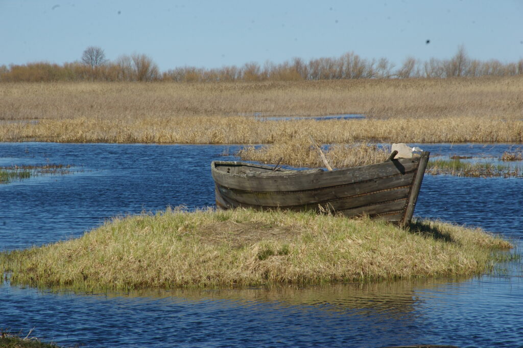 Старинные лодки Причудья