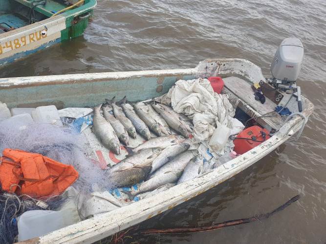 Жители Хабаровского края задержаны за незаконный лов лососевых