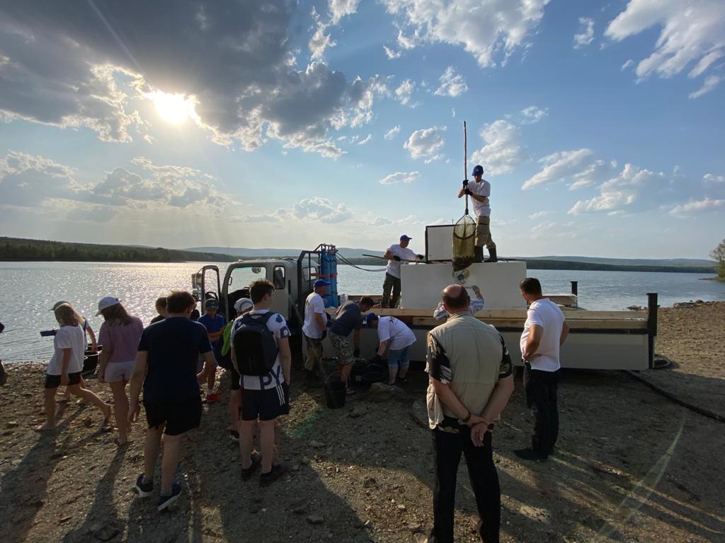 В Вогульское водохранилище выпустили свыше 17 тысяч сазанов