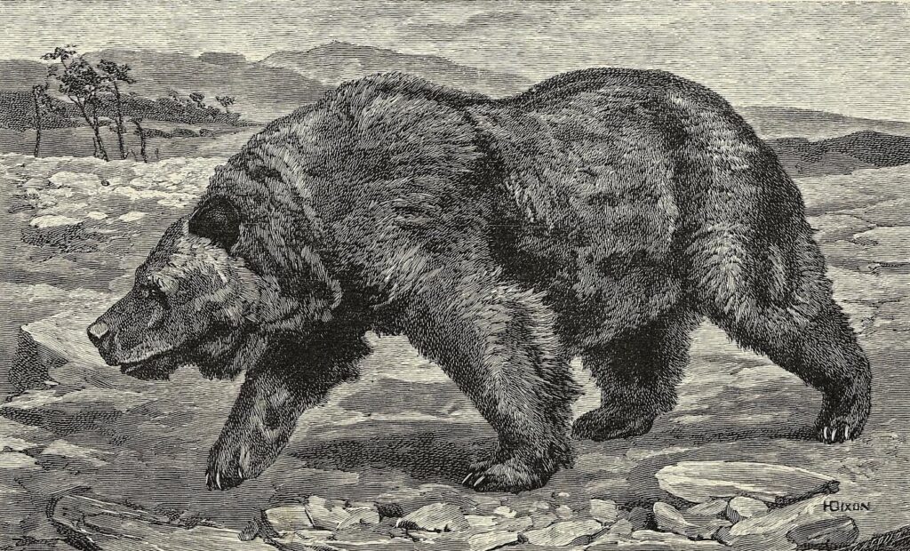 Медвежьи охоты