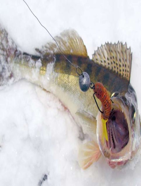 Поролон и силикон на зимней рыбалке. Относительные плюсы и минусы