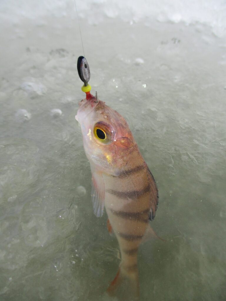 Рыбалка по последнему льду