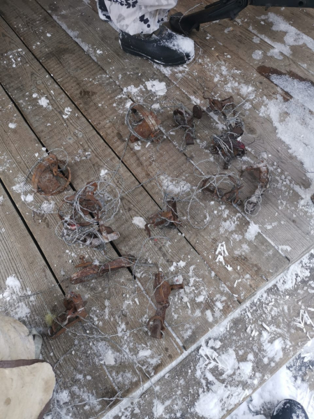 В Красноярском крае задержали охотников с запрещенными орудиями лова