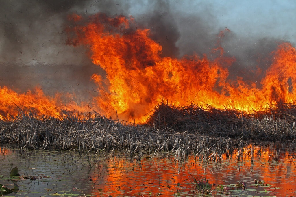 В Хакасии запретили весеннюю охоту из-за угрозы природных пожаров