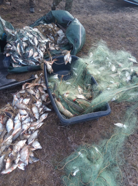 В Ростовской области задержали рыбаков-браконьеров