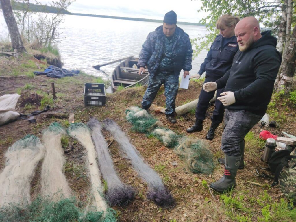 В Псковской области пресекли браконьерский лов сетями