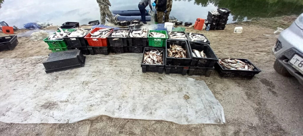На Урале четверо браконьеров наловили около тонны рыбы во время нереста