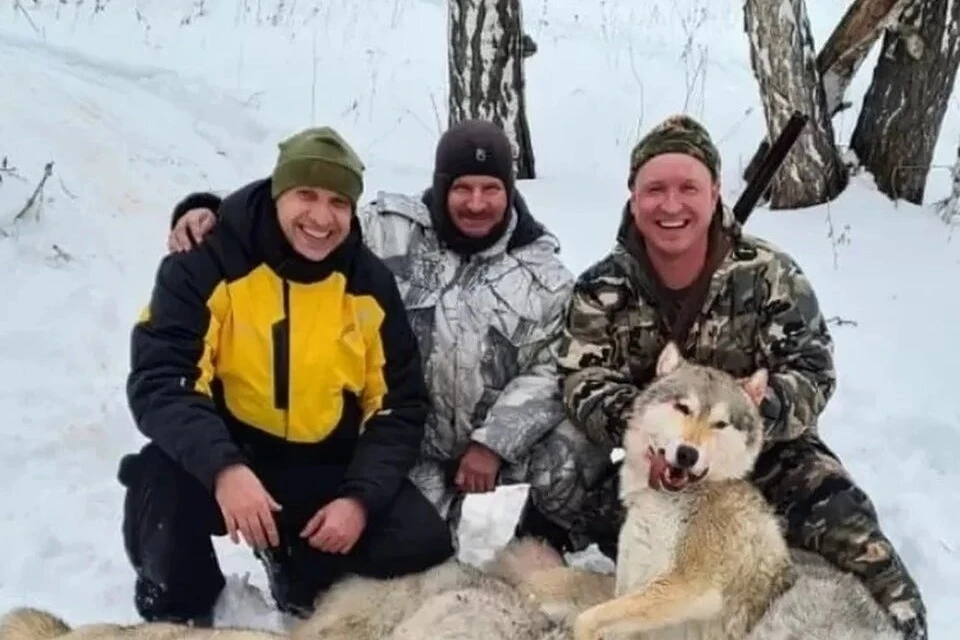 Бывшего депутата оштрафовали на 600 тысяч рублей за жестокую охоту на волка