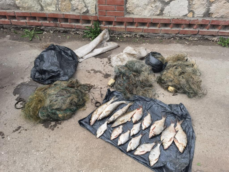 В Самарской области завели дело на пенсионера за вылов сетью нескольких рыб