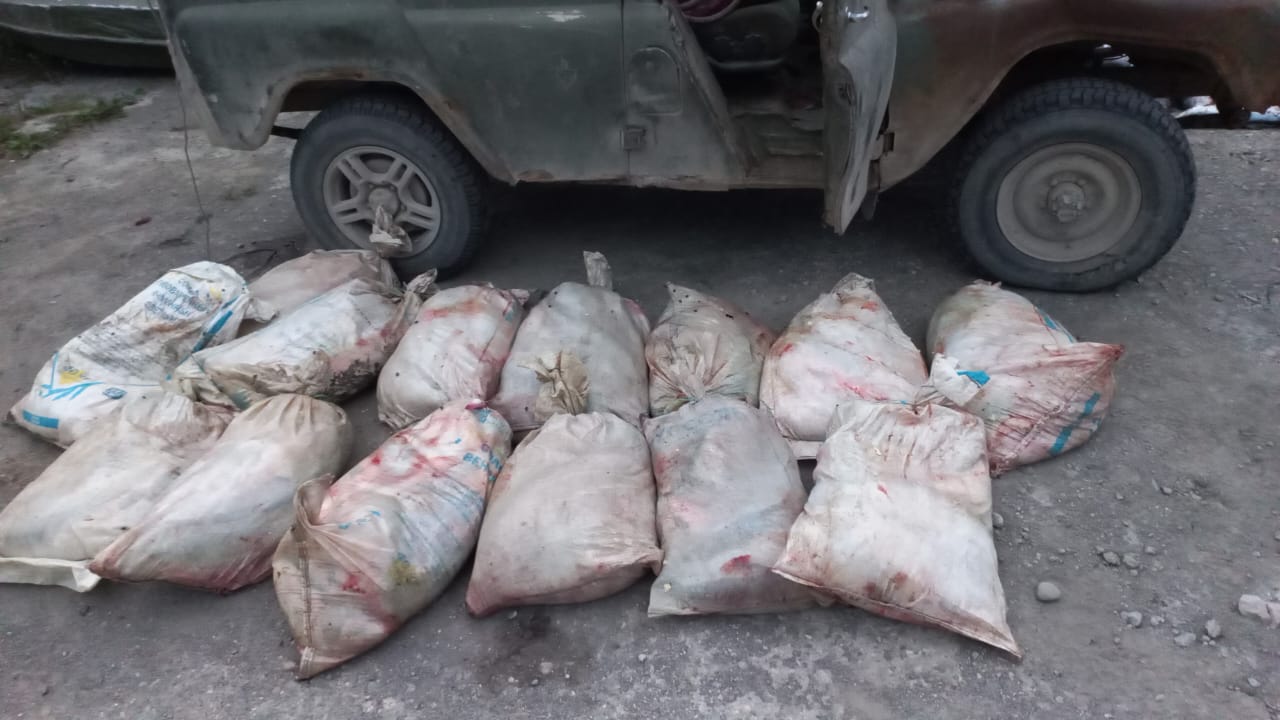 На Камчатке браконьеры попались на вылове 828 кг лосося
