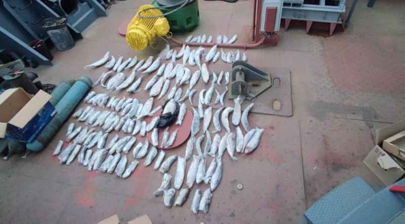 На Енисее браконьер наловил рыбы на 580 тыс. рублей