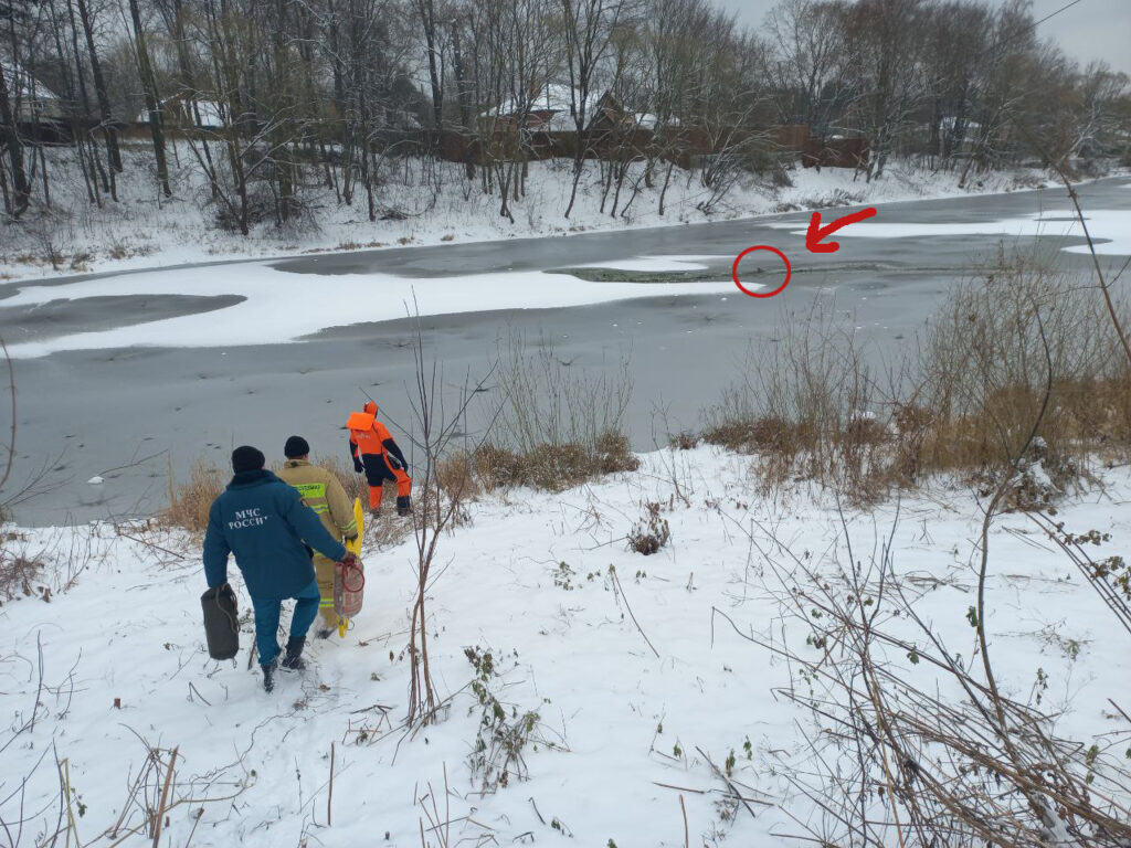 В Калужской области спасли провалившуюся под лед косулю