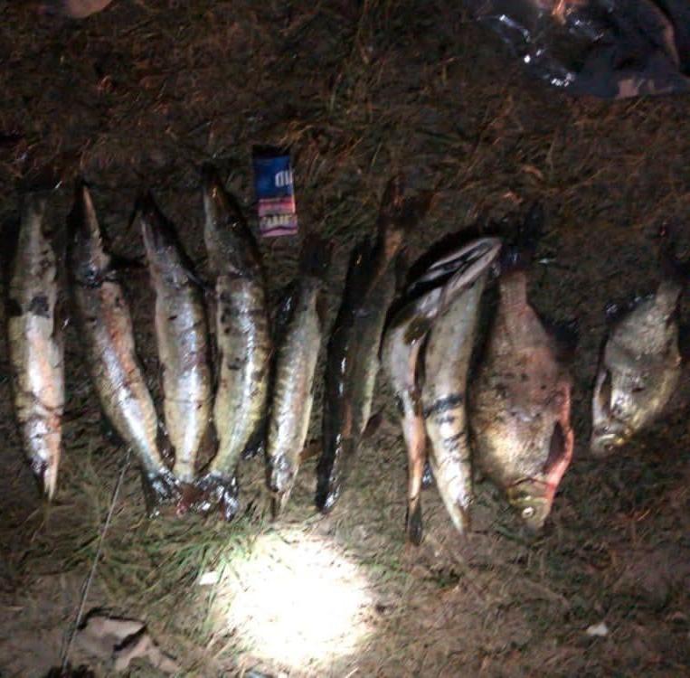 В Татарстане рыбаков наказали за браконьерство с острогой