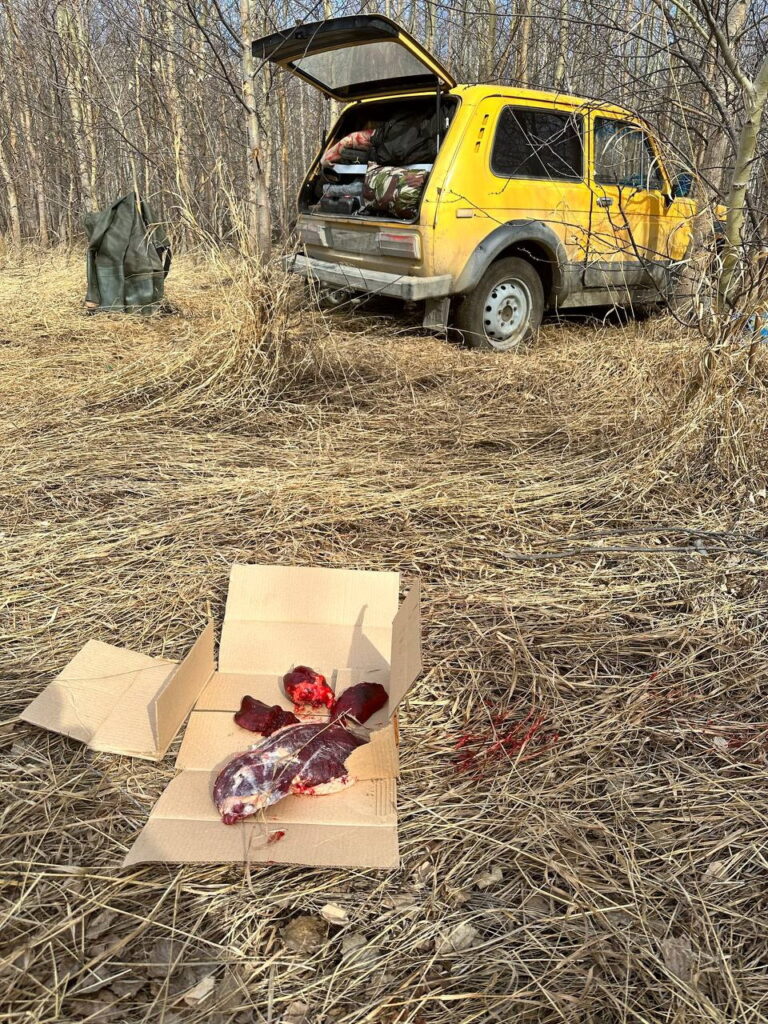 В Челябинской области охотники попались на добыче краснокнижных лебедей