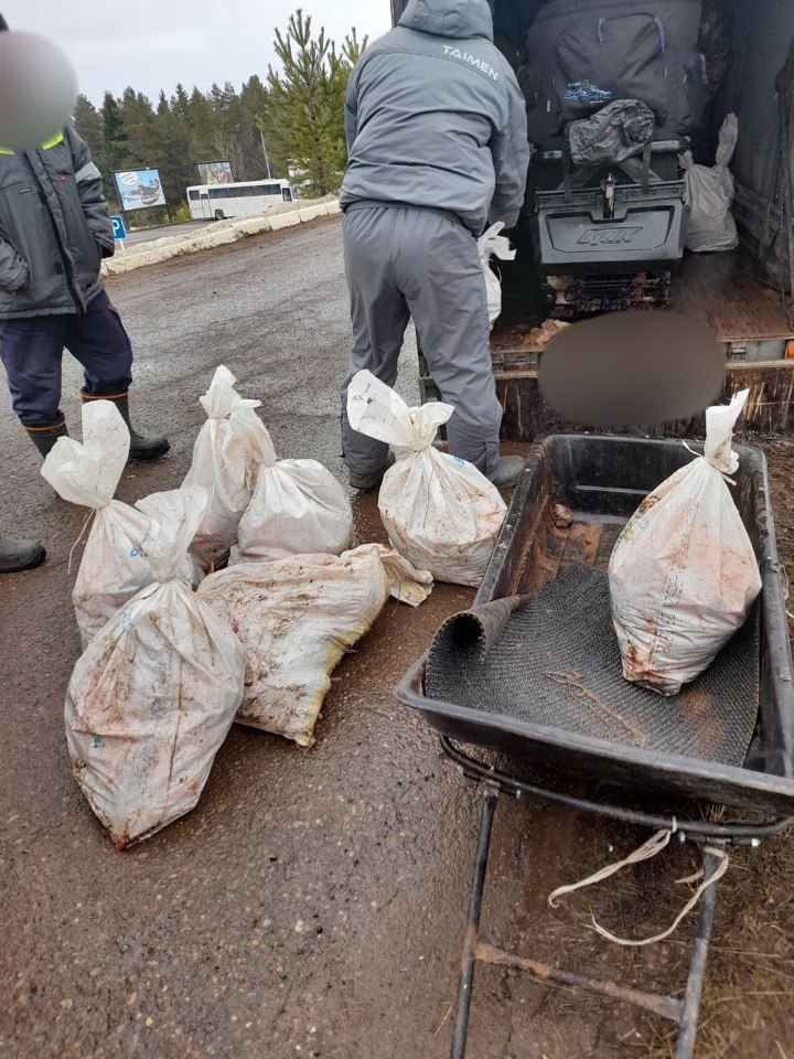 Рыбаков в Удмуртии задержали за добычу стерляди