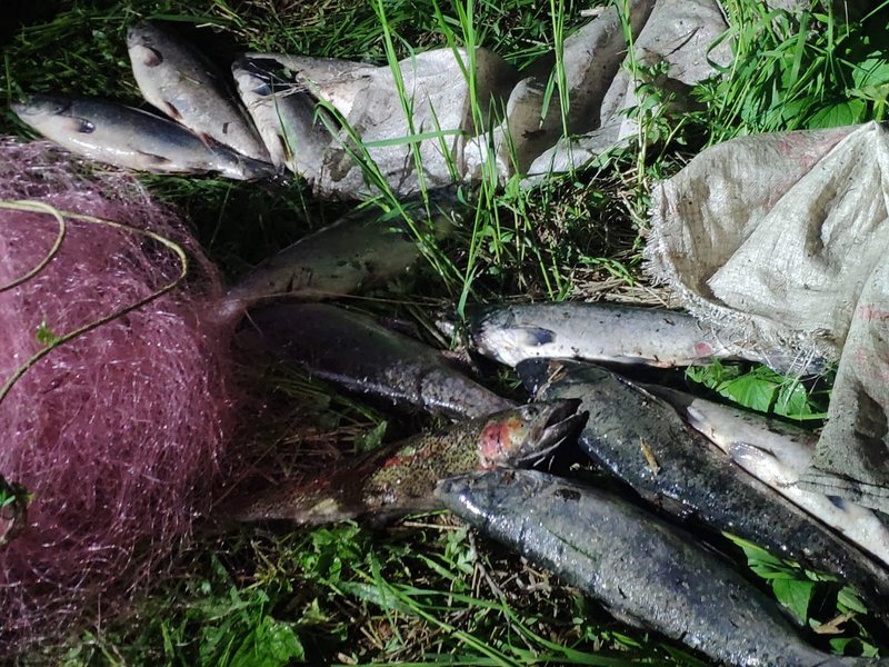 На Камчатке рыбаков задержали за незаконный вылов лососевых