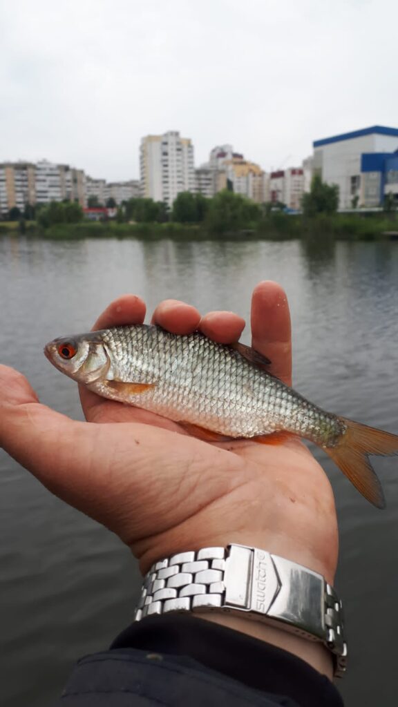 Рыбалка в прифронтовом Белгороде. Часть вторая