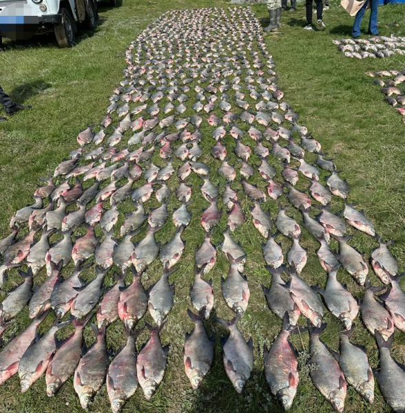 На Цимлянском водохранилище трое браконьеров добыли свыше 900 рыб