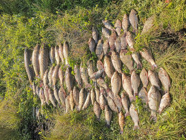 В Мордовии любитель рыбалки попался на лове сетью