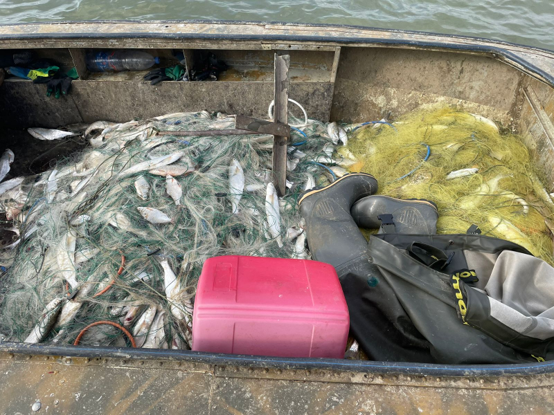 Жителя Адыгеи задержали за вылов сетью свыше 1600 рыб