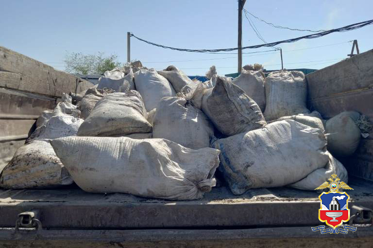 Житель Алтая попал под суд за нелегальную добычу трех тонн рачков артемии