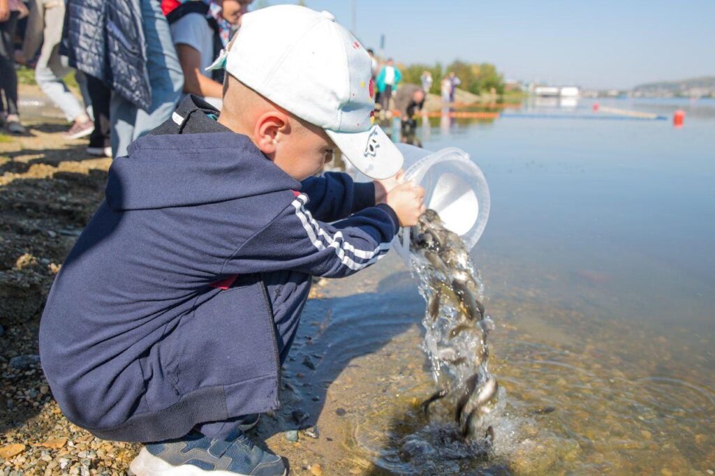 В бассейны Иртыша и Оби выпустили более миллиона мальков осетра сибирского