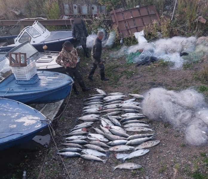 Жителей Хабаровского края задержали за нелегальный вылов лосося на 1,2 млн рублей