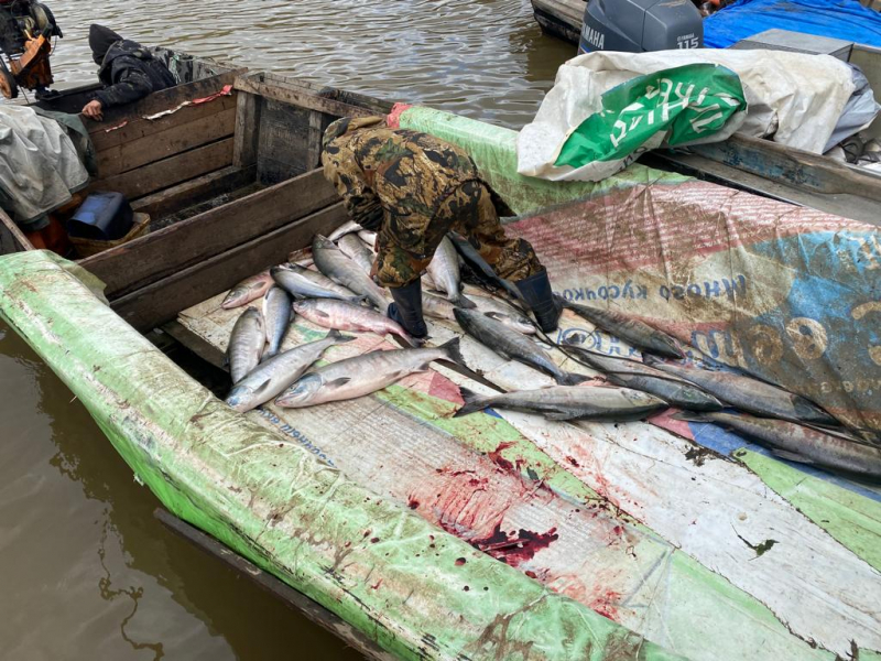 В Хабаровском крае рыбак в запретный день выловил лосося на 1,2 млн рублей
